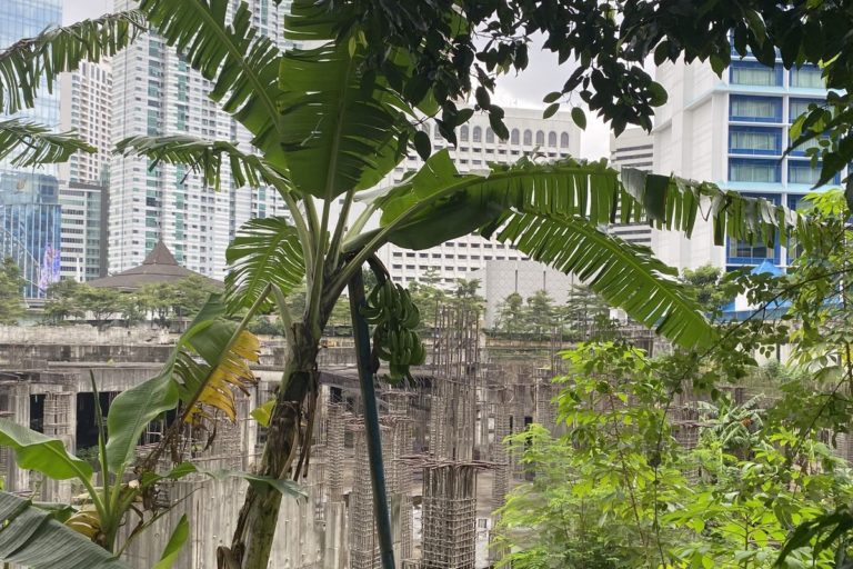 Ibu Deli Serdang Ditahan Cabut Pohon Pisang di Lahan Sendiri